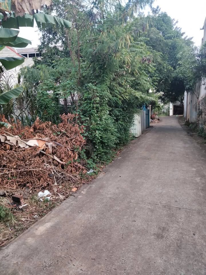 Đất hẻm A Dừa, P. Ea Tam 240m² giá 4 tỷ - Đầu tư sinh lời nhanh chóng!