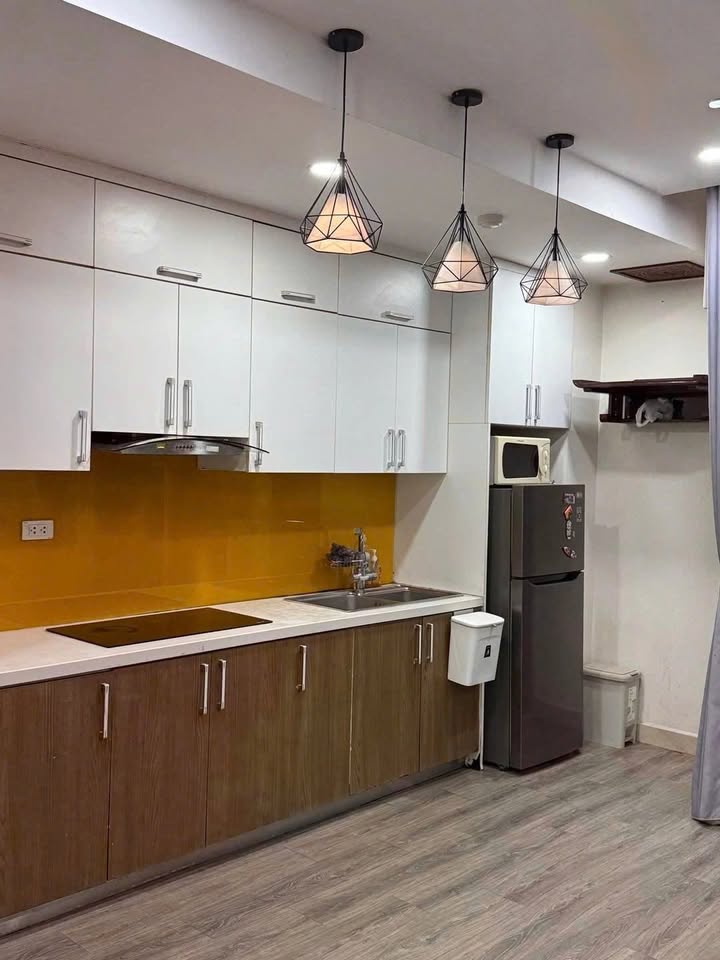 Căn hộ Ecolife Capitol 58 Tố Hữu 55m² giá 11 triệu - Full nội thất đẹp!
