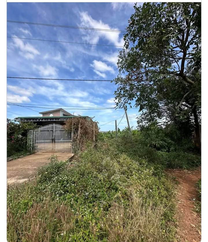 Đất thổ cư 200m² tại Xã Chư Prông, Gia Lai - Chỉ 1 tỷ VND!