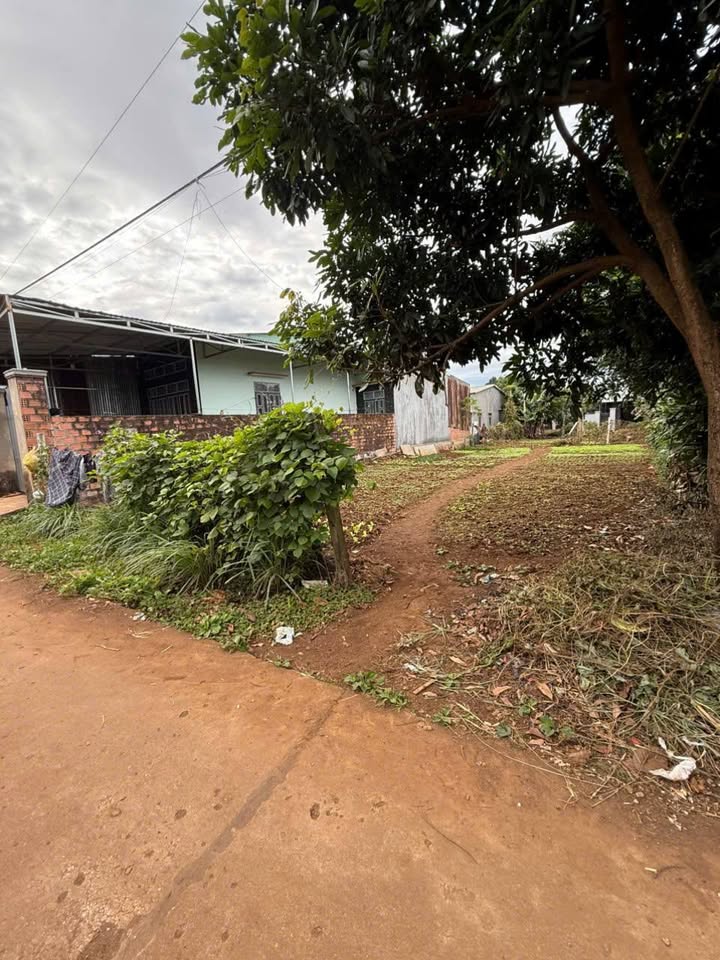 Đất đầu tư An Phú, Pleiku 100m² giá 600 triệu - Tiềm năng tăng giá cao!