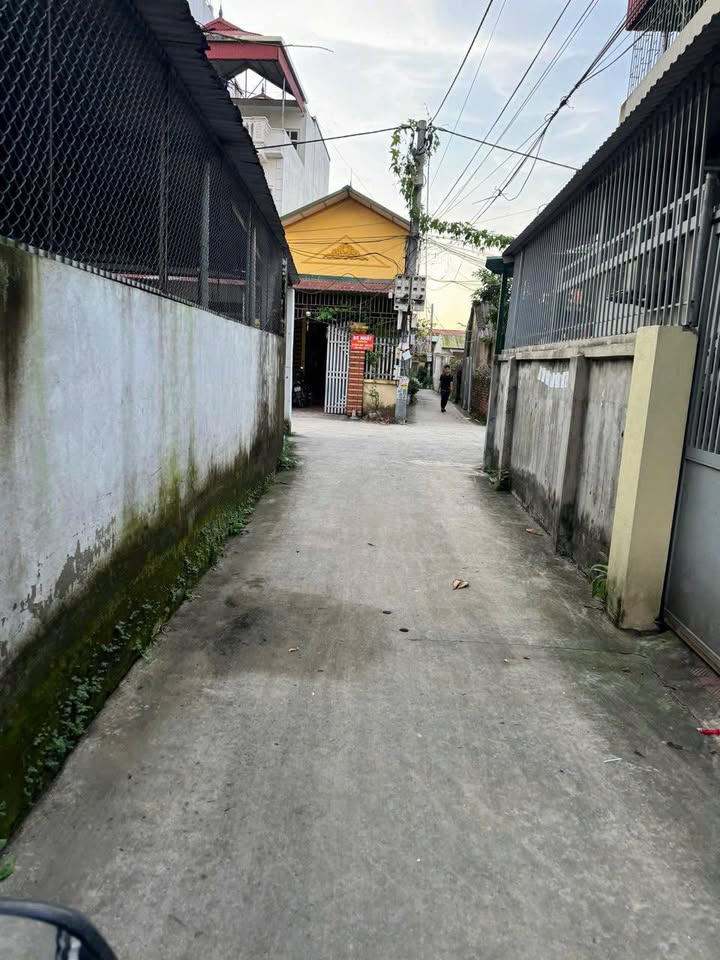 Đất nền lô góc Tam Hưng 72m² giá thỏa thuận - Mặt tiền sát chợ, gần ô tô!