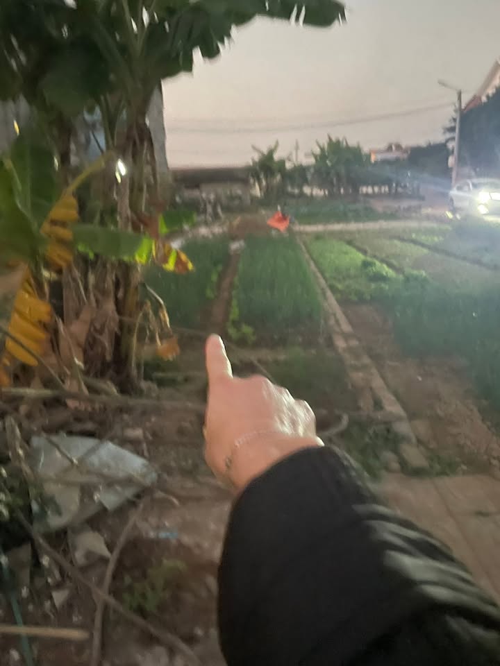 Đất đấu giá Ao Lác, Vân Đình 85m² chỉ 5x triệu - Cơ hội đầu tư tuyệt vời!