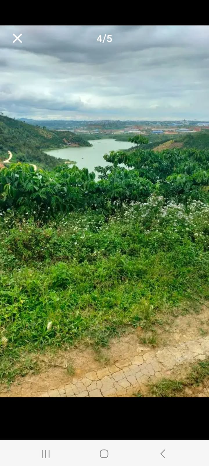 Đất nền 1200m² tại thôn 1, xã Tân Lạc, Bảo Lâm - Giá chỉ 650 triệu!