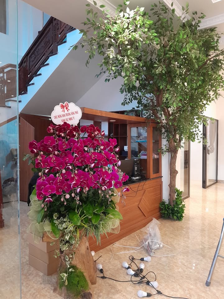 Nhà cấp 4 Văn Hội, Văn Bình, Thường Tín 54m² giá 3 tỷ - Sổ đỏ chính chủ, giao dịch ngay!