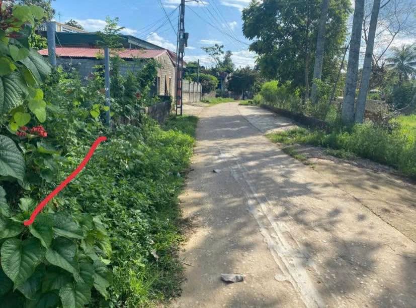 Đất nền Hợp Thành, Triệu Sơn 245m² - Giá bán nhanh chỉ 3xx triệu