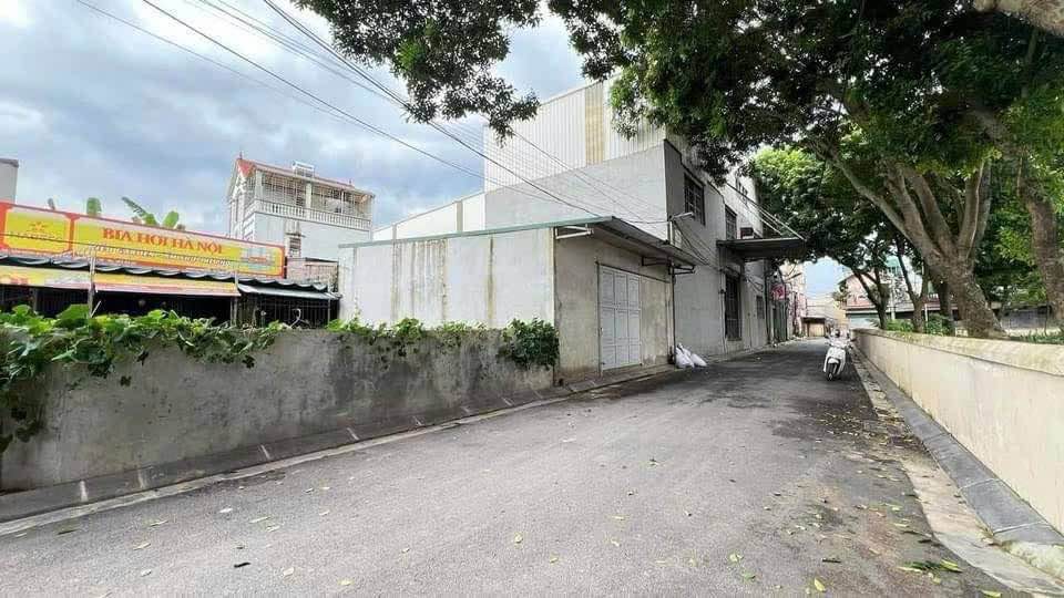 Lô đất đấu giá Du Nội, Mai Lâm, Đông Anh 74,1m² giá 9,8 tỷ - Đầu tư sinh lời mạnh mẽ!