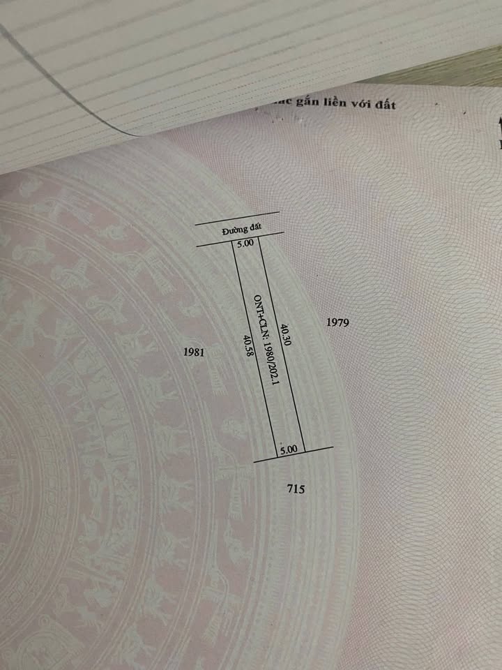 Đất nền Gò Dầu Tây Ninh 128m² giá 540 triệu - Đầu tư sinh lời ngay!