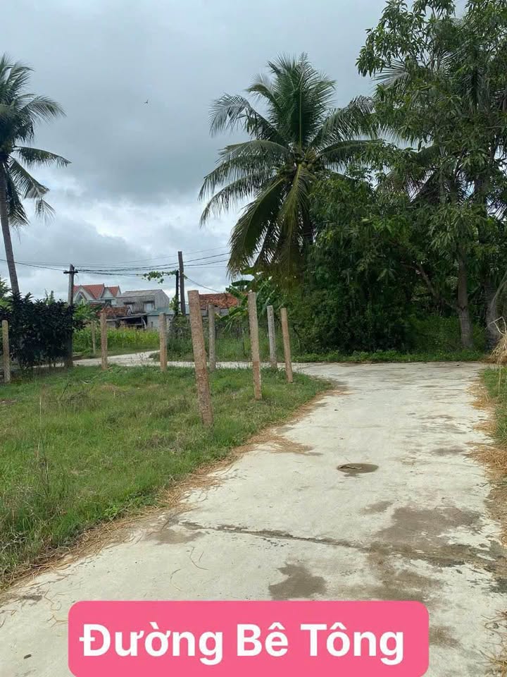 Đất Ninh Trung 92m² giá 290 triệu - Sổ hồng trao tay ngay!