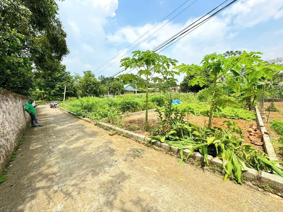 Đất nền Phú Cát Quốc Oai 136m² giá 2 tỷ - Sổ đỏ chính chủ, đầu tư sinh lời!