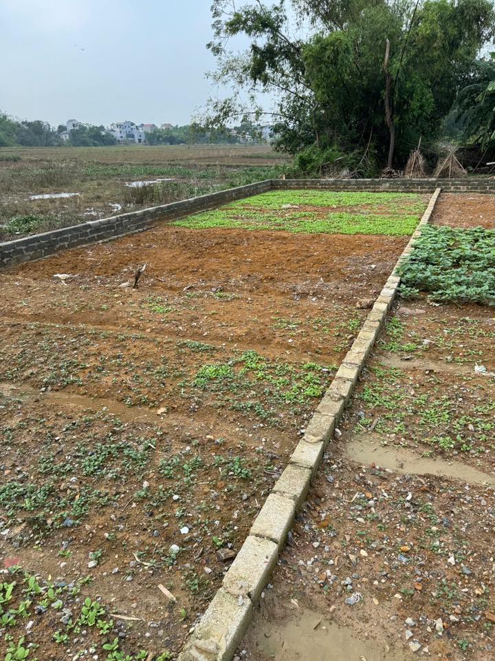 Đất thổ cư Hoàng Văn Thụ, Chương Mỹ 119,1m² - Chính chủ bán gấp!