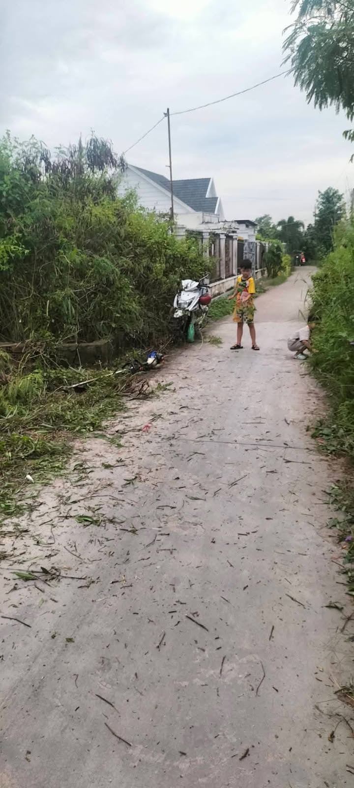 Đất nền Tân Lân, Cần Đước, 162m² giá 850 triệu - Cơ hội đầu tư lý tưởng!