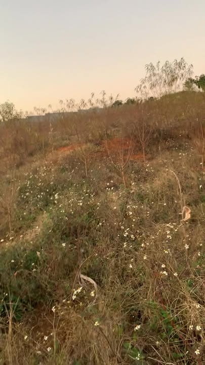 Đất Farm 5400m² tại Nà Hạ 1, Chiềng Mung, Mai Sơn - Giá 2.2 tỷ, Pháp lý rõ ràng!