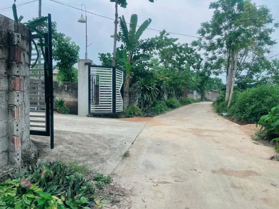 Đất nền Bồ Lý, Tam Đảo 568m² giá 1.2 tỷ - Cơ hội đầu tư không thể bỏ lỡ!