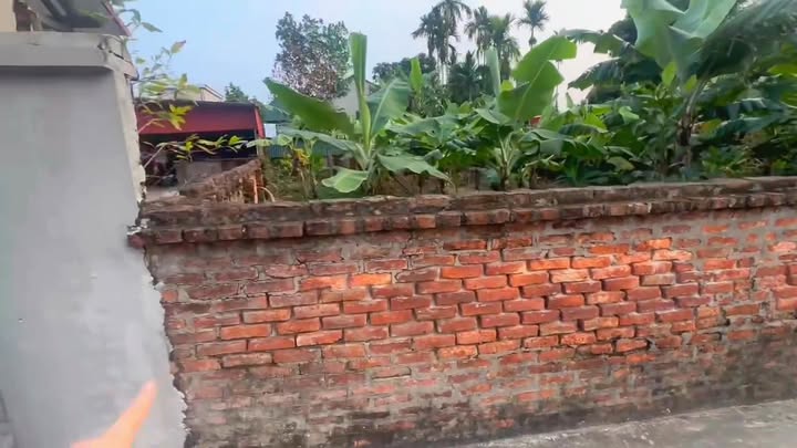 Bán đất thôn Hạ Bì, xã Cổ Bì, huyện Bình Giang, Hải Dương 180m² – Giá rẻ bất ngờ!