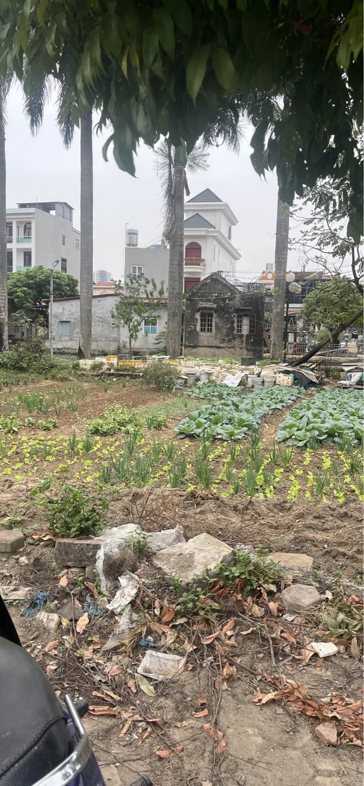 Đất nền 71m² phường Đại Phúc, Bắc Ninh - Đầu tư sinh lời ngay!