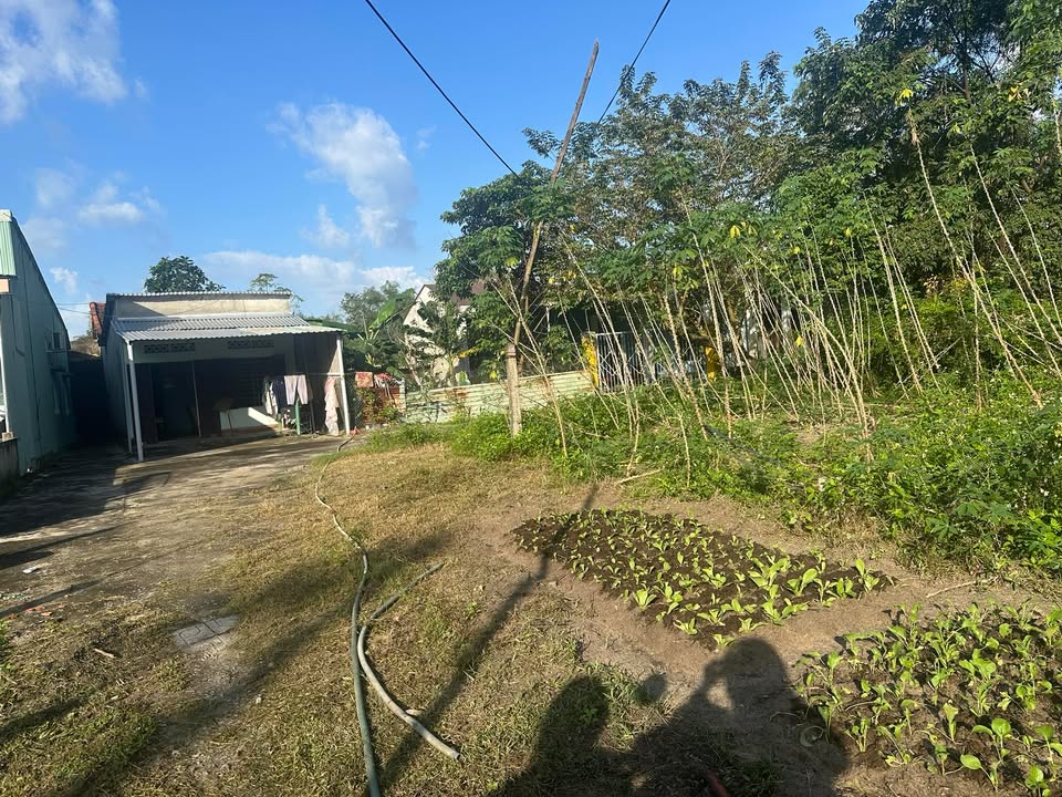 Đất Hòa Thuận Tam Kỳ 125m² giá 600 triệu - Cơ hội đầu tư tuyệt vời!