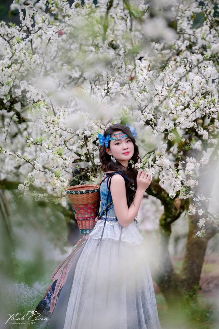 Đất ở thôn Vân Thạch, xã Tam Hiệp 150m² - Giá thỏa thuận cực hấp dẫn!