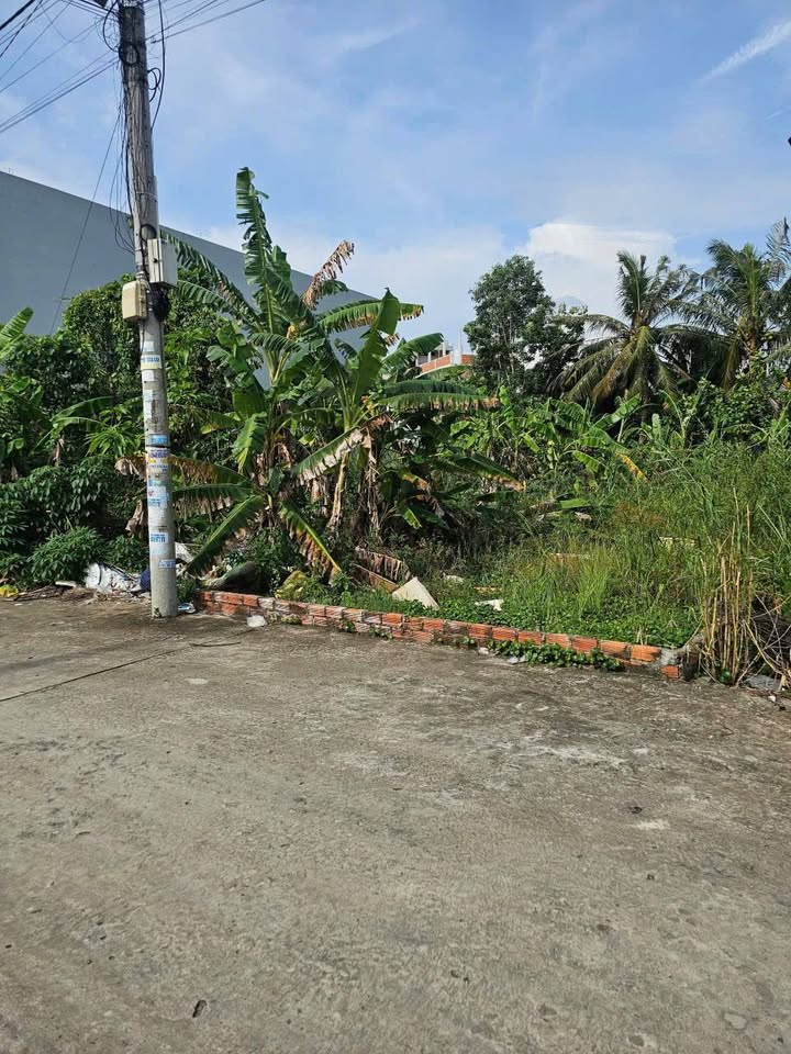 Bán đất nền liền kề đường số 5, Tân An, Cần Thơ - Sổ hồng chính chủ, giá chỉ 1.5 tỷ!
