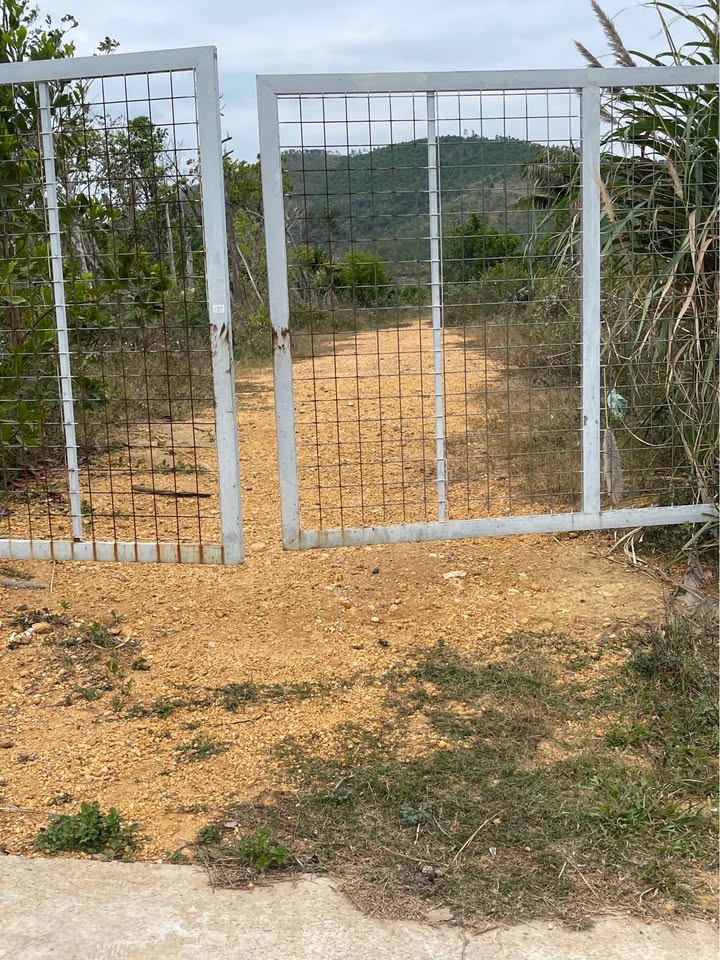 Đất thổ cư 10.000m² tại thôn Đình, xã Thống Nhất, Hạ Long - Sổ đỏ chính chủ!