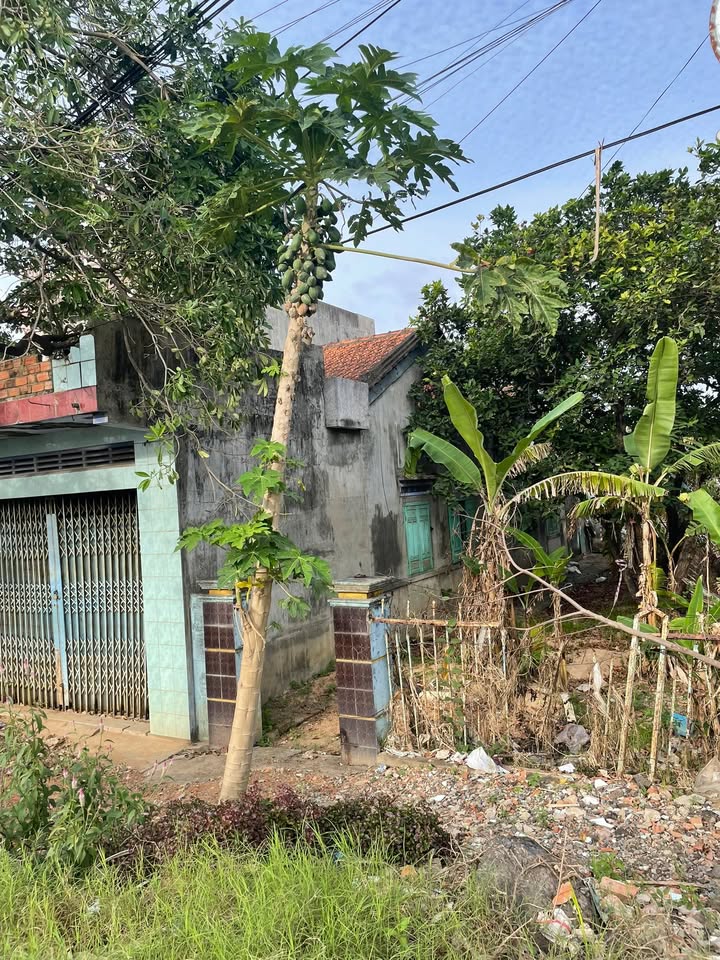 Nhà cấp 4 gác lửng tại thôn Bàn Thạch, Hòa Xuân - Cho thuê giá thỏa thuận!