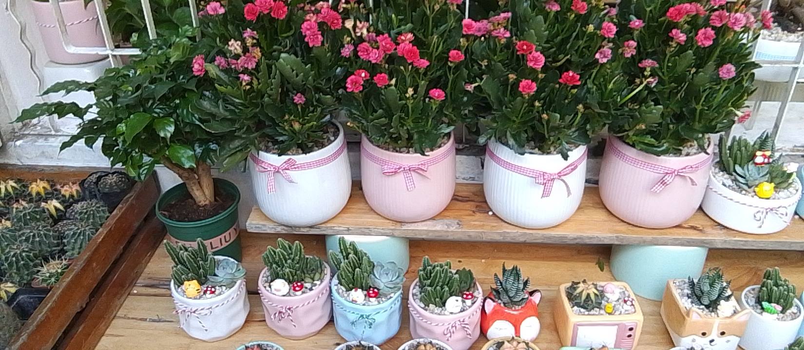 Nhà 3 tầng Hòa Cường Bắc 100m² giá 7 tỷ - Sẵn sàng vào ở ngay!