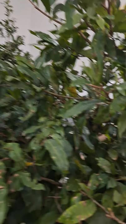 Nhà bán gấp Tân Vĩnh Lộc B 80m² giá 1.95 tỷ - Đầu tư sinh lời ngay!