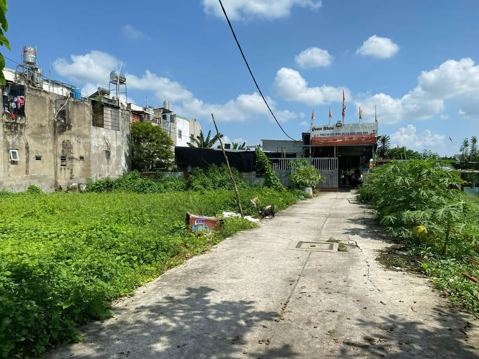 Đất nền Vĩnh Lộc, Bình Chánh 88m² giá 3.2 tỷ - Sổ hồng riêng, an cư lý tưởng!