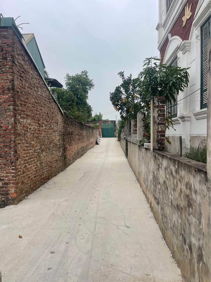 Bán đất Tự Nhiên Thường Tín 66m² giá 6 tỷ - Đường ô tô vào tận nơi!