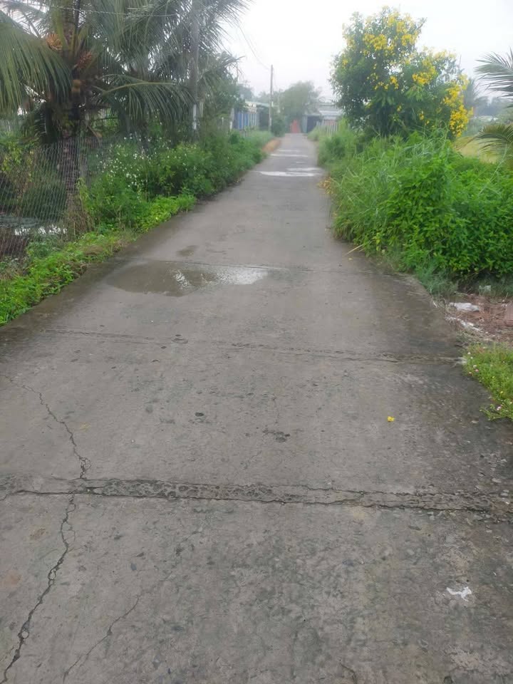 Nhà riêng xã Nhị Thành, huyện Thủ Thừa, Long An 302m² giá 1.8 tỷ - Chính chủ bán gấp!