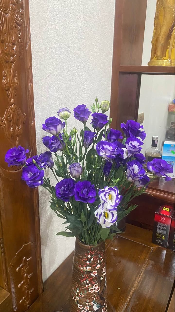 Đất nền Tân Phong, Quảng Xương 100m² - Giá tốt, hướng Đông, đường rộng ô tô tránh nhau!