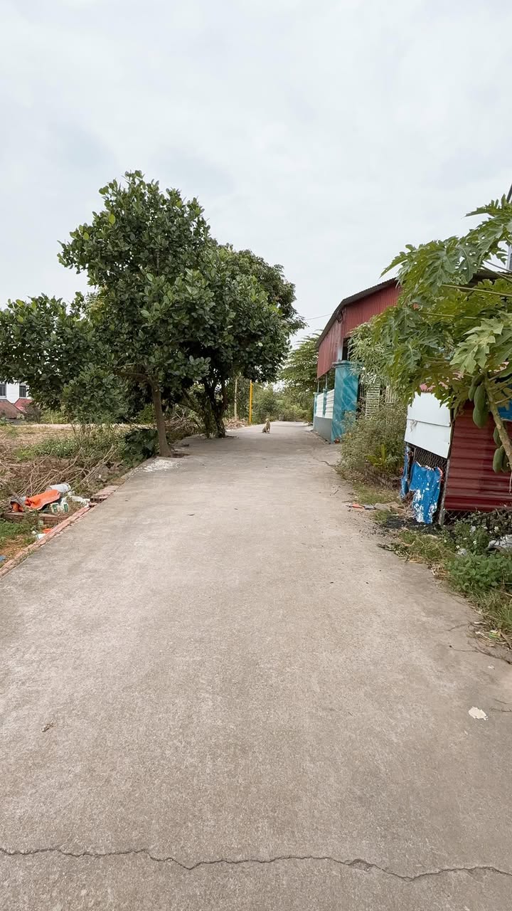 Đất nền Phù Lãng, Quế Võ 89m² giá 800 triệu - Đầu tư sinh lời hấp dẫn!