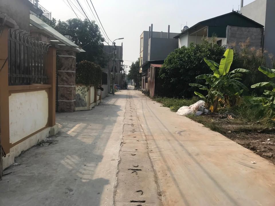 Đất đẹp 100m² tại thị trấn Quang Minh, Mê Linh - Giá tốt, vị trí thuận lợi!