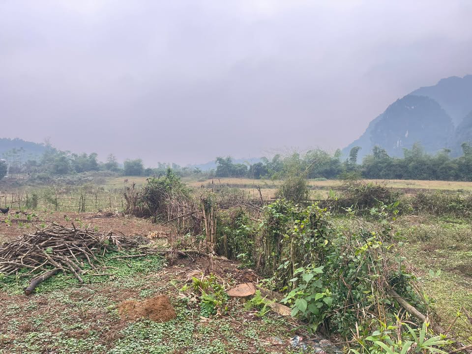 Đất thổ cư 554m² Liên Sơn, Lương Sơn - Mặt tiền 17m, giá 2 tỷ