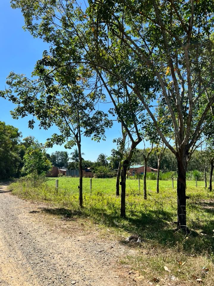 Đất nền 1018m² tại TP Tây Ninh giá 500 triệu - Sổ hồng chính chủ!