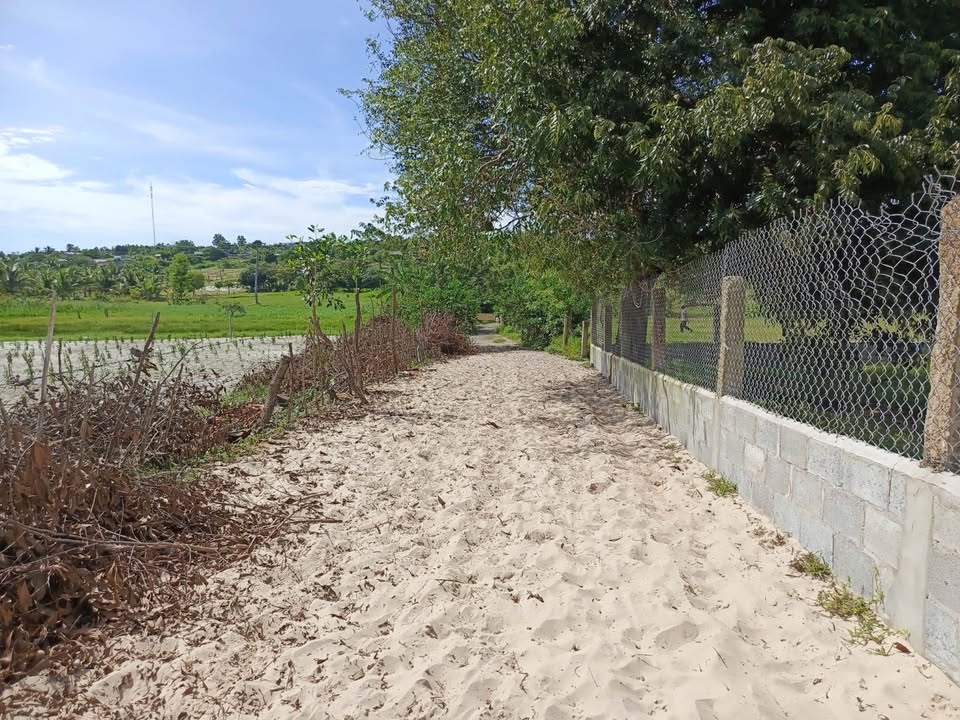 Lô đất cây trồng thôn 7 xã Hàm Đức 1797m² giá chỉ 800 triệu - Gần đường nhựa 715!