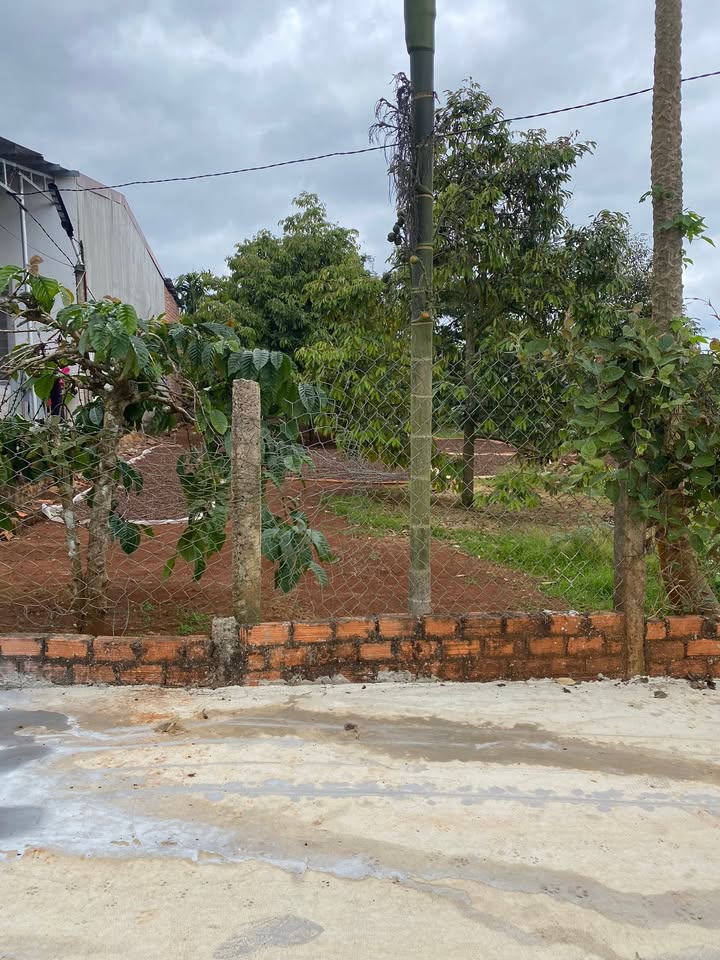 Đất nền Tân Lập, Pơng Drang 273m² giá 800 triệu - Sổ đỏ chính chủ, cơ hội đầu tư tốt!