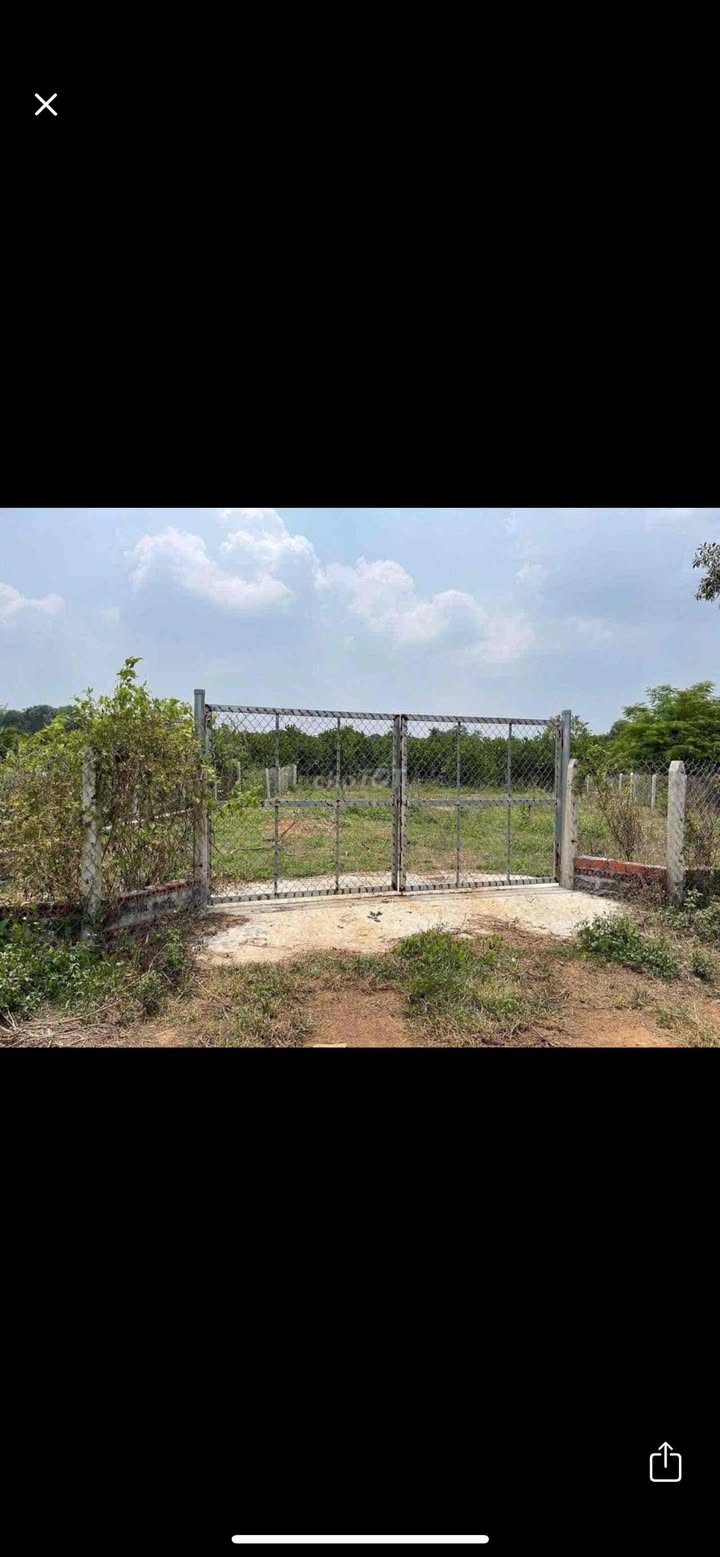 Đất nền 6000m² xã Suối Nho, Định Quán chỉ 1.8 tỷ - Tiềm năng phát triển lớn!