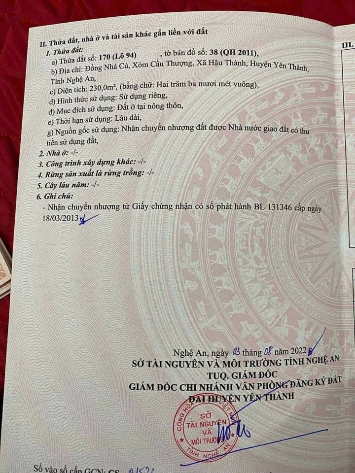 Đất Hậu Thành Yên Thành 200m² giá 1 tỷ - Cơ hội đầu tư không thể bỏ lỡ!