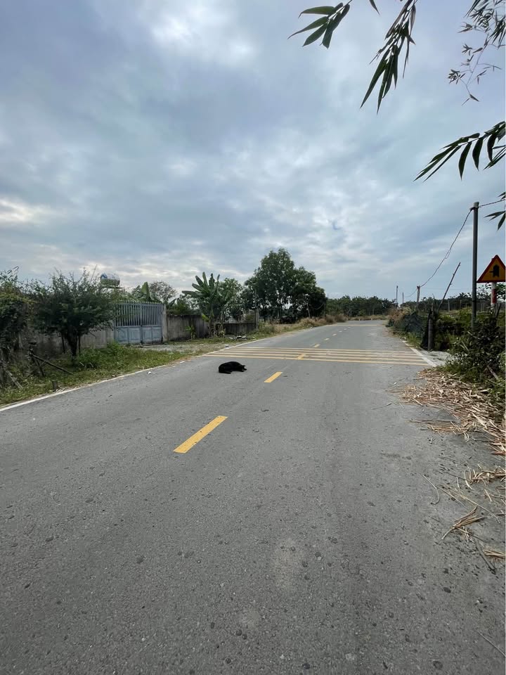 Đất mặt tiền đường Vĩnh Tân 01, TP. Tân Uyên 2000m² - Cơ hội đầu tư tuyệt vời!