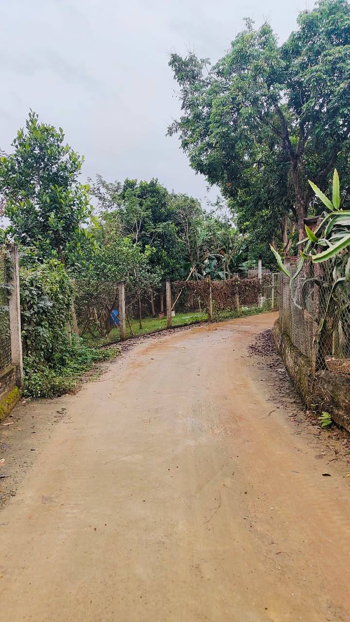 Đất nền Tổ dân phố 9 Trung Môn, 252m² giá 1.5 tỷ - Đầu tư sinh lời hấp dẫn!