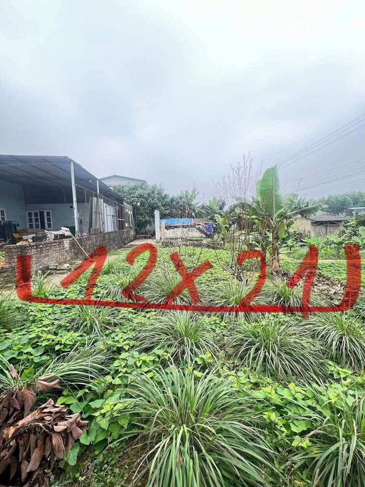 Lô đất 252m² tại thôn 9 Trung Môn, Yên Sơn - Giá chỉ 1 tỷ, đầu tư sinh lời!