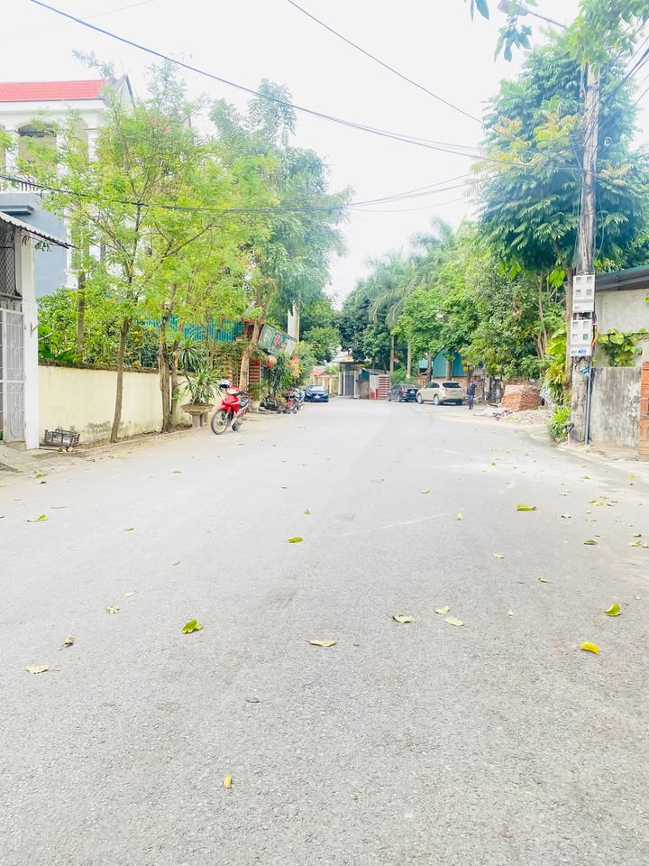 Đất nền Liên Bảo, Vĩnh Yên 320m² giá 7 tỷ - Pháp lý rõ ràng, xây biệt thự ngay!