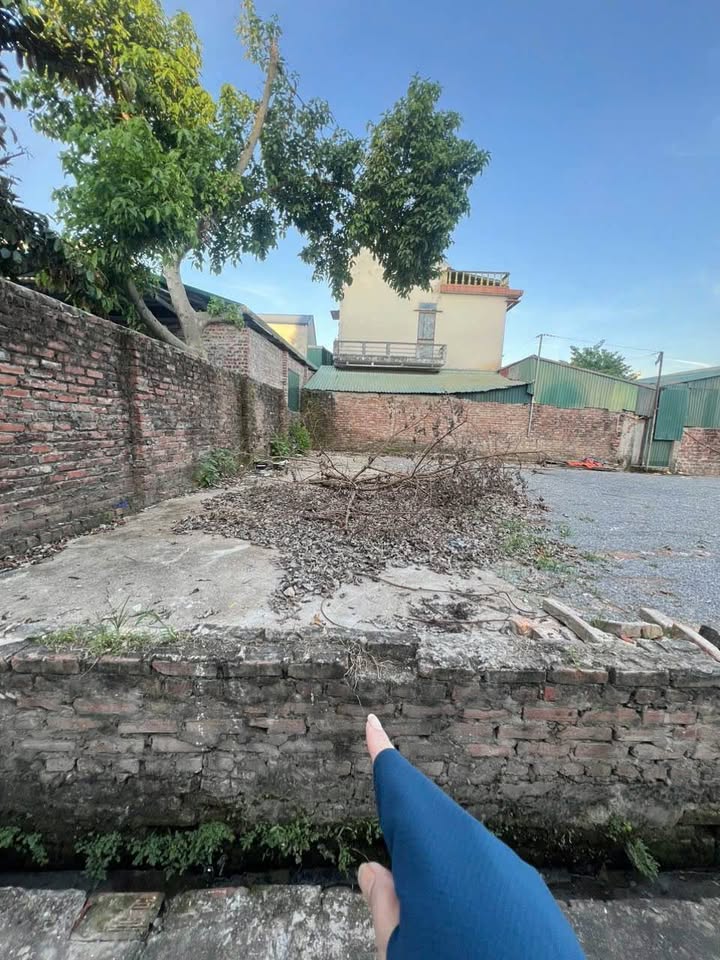 Đất nền Thanh Giang, Thanh Cao 66m² giá 4 tỷ - Vị trí đắc địa tiềm năng!