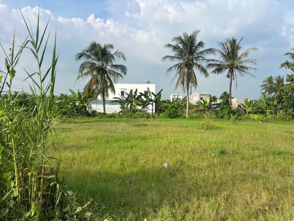 Đất thổ cư 2 nền liền kề đường Đoàn Thị Nghiệp - Tiềm năng phát triển lớn!