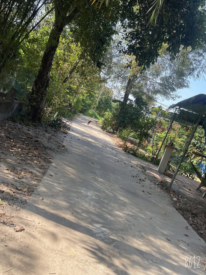 Đất nền Dĩ An 5500m² giá 1.2 tỷ - Cơ hội đầu tư sinh lời!