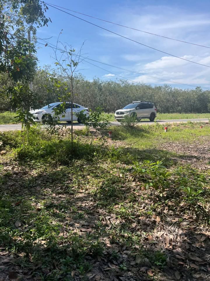 Đất nền Chánh Phú Hòa Bến Cát 180m² giá chỉ 1 tỷ - Cơ hội đầu tư sinh lời!