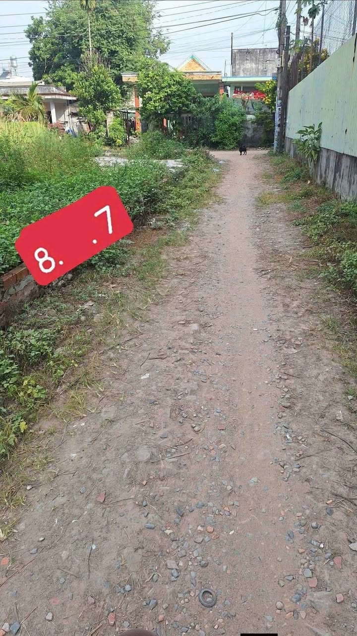 Đất nền Dĩ An 80m² giá 3.25 tỷ - Sổ riêng, đường ô tô thông thoáng!