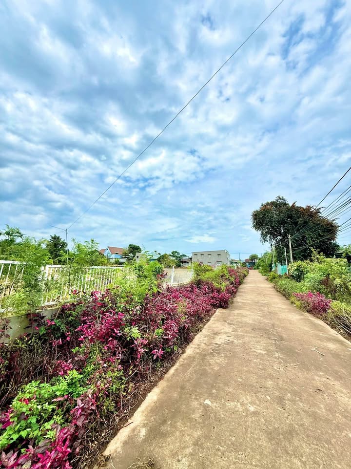 Bán đất thổ cư 150m² tại Bảo Vinh, Long Khánh - Giá chỉ 590 triệu, sổ riêng chính chủ!