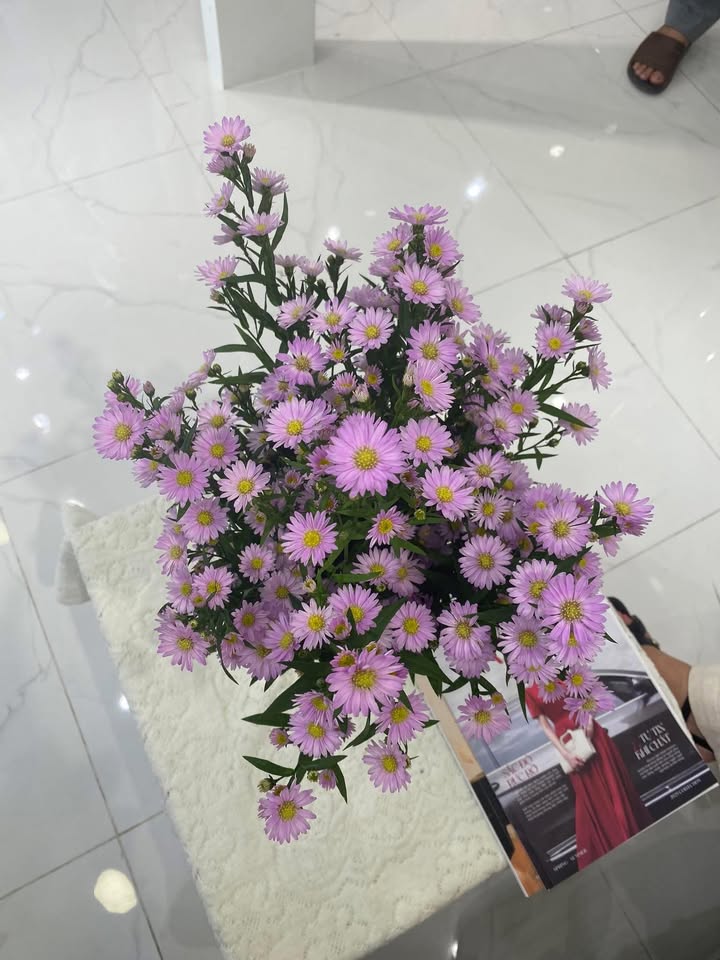 Đất thổ cư Thôn Thạch Thành, xã Tân Định, Ninh Hòa 156m² giá 400 triệu - Cơ hội đầu tư tuyệt vời!