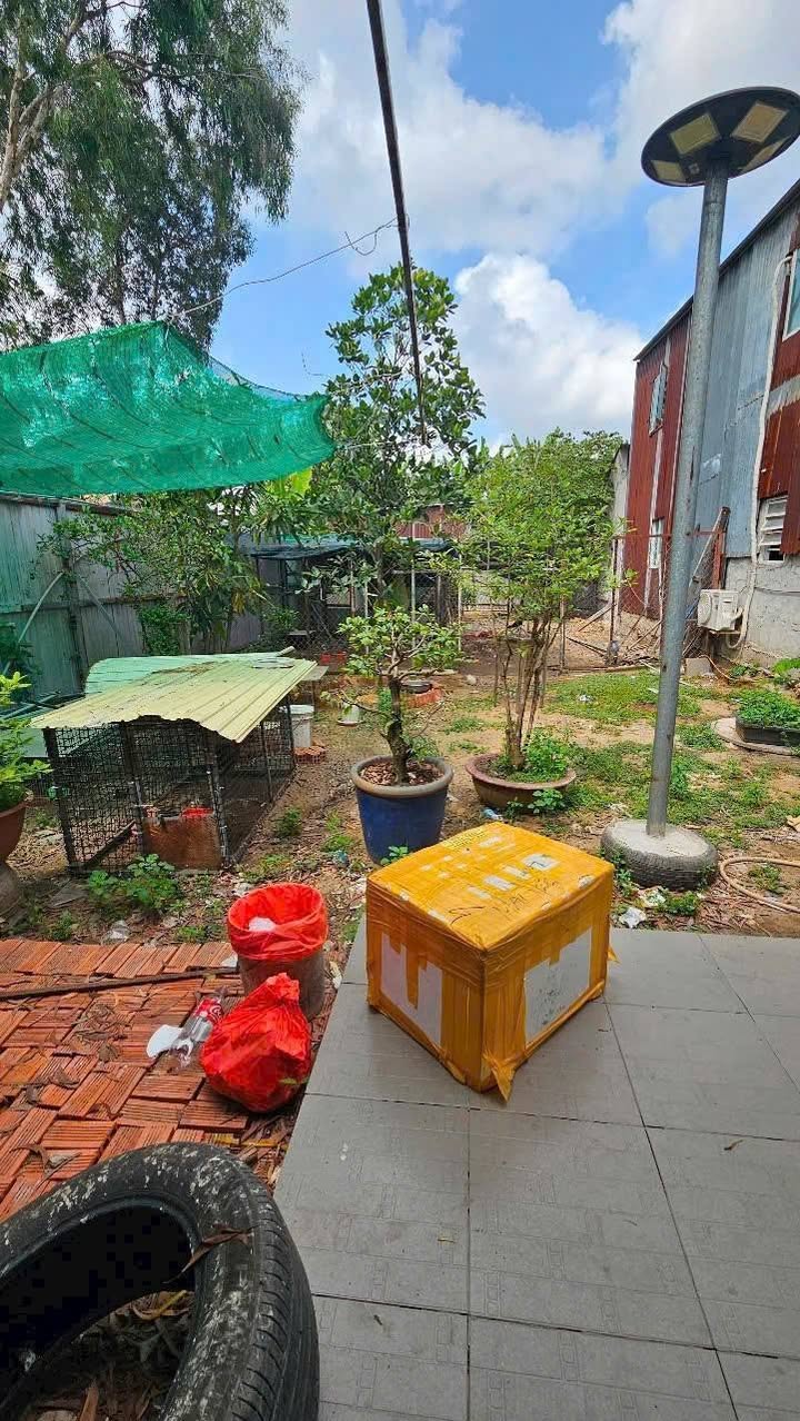 Đất vườn 298m² xã Đa Phước, Bình Chánh giá 2.3 tỷ - Sổ hồng riêng, thương lượng nhẹ!